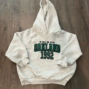 ZARA toddler boy hoodie (3-4 years)